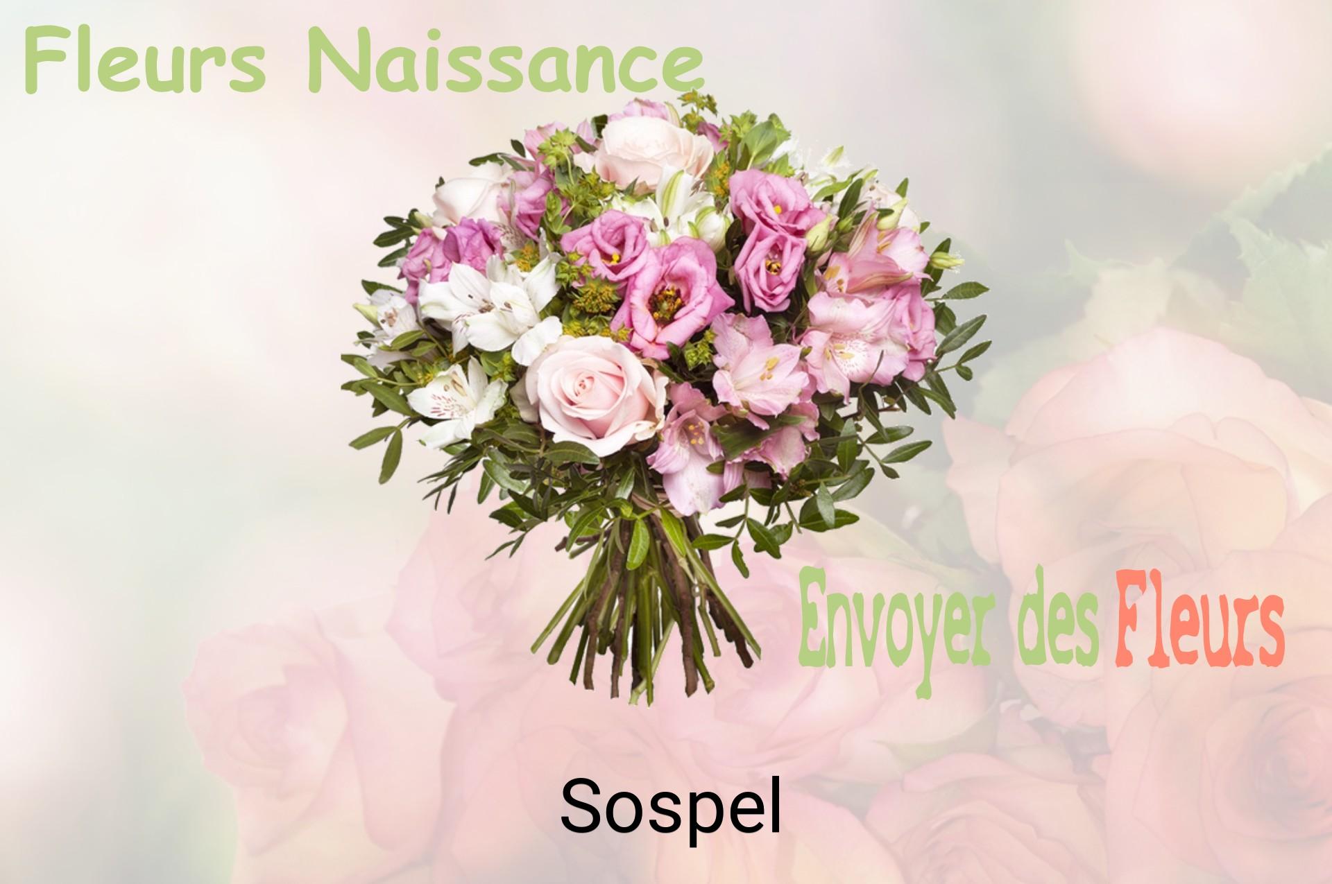 Bouquet de fleurs de naissance livré à Sospel