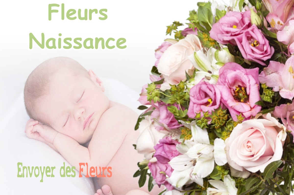 lIVRAISON FLEURS NAISSANCE à SOSPEL