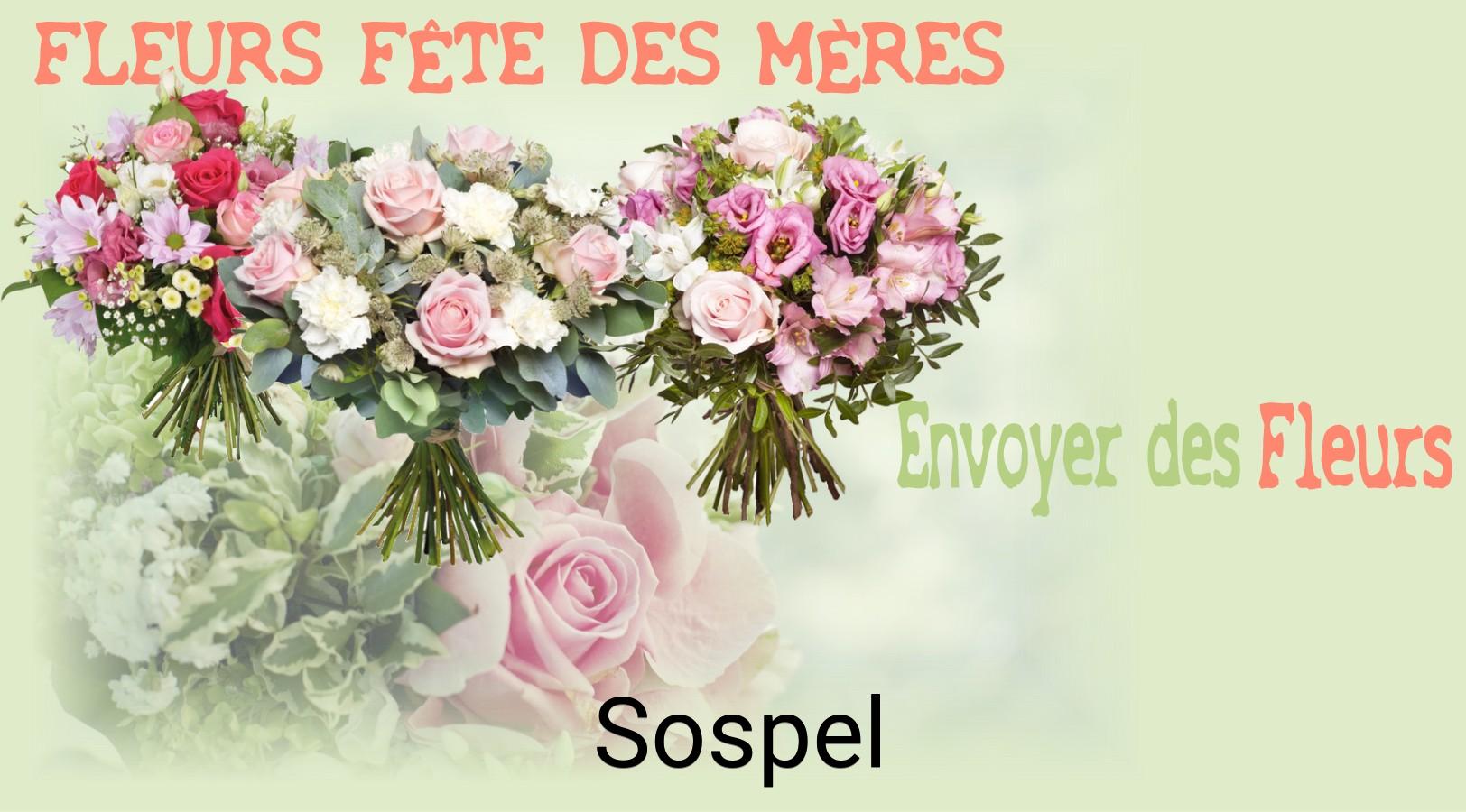 Bouquet de Fête des Mères livré à Sospel